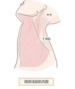 做丰额头的过程揭秘：让你拥有立体美感的变身之旅！