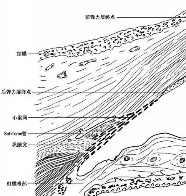 武汉个性化半飞秒哪家正规又靠谱？ 武汉悦瞳眼科、普瑞、爱尔这几家很出名